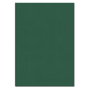 Canson colored Papers - Size B4 - 140 gm